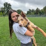 sara teachout - @sara.teach - Instagram