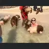 Sara Steel - @sarasteel0 - TikTok