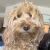 sarah teel - @sarahbelleteel - TikTok