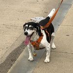 Sarah R. Terrill - @libwalla - Instagram