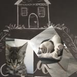 aw.inspird.artist - @sara.the.inspired.artist - Instagram