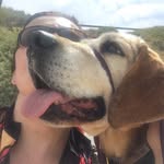 Sara Thomson - @sara.thomson.750 - Instagram