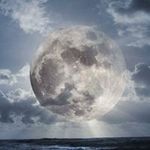 Sara Thurman - @sarathurman9852 - Instagram