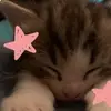 Sara & Tiffany - @sara.x.tiff - TikTok