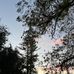Sarah Ullah - Facebook