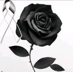 Sara Ulloa - Facebook