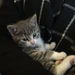 Sara Adel - @sara.unknown6788wpl8 - Instagram