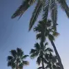 sarahvanderweiden - @sarahvanderweiden - TikTok