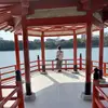 Sara.Vang - @saravangqmtifblo - TikTok