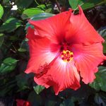 Sarah Varner - @just_because_project - Instagram