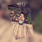 ✖👅Sarah Varney👅✖ - @sarah_varney_1 - Instagram