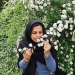 sara_va_sana - @sara_va_sana8 - Instagram