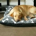 @sarah.venables.75 - Instagram