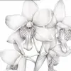 Sarah Venables - @sarah.venables2 - TikTok