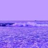 saravences6 - @saravences6 - TikTok