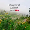 Sara Vicente - @sara.vicente12 - TikTok