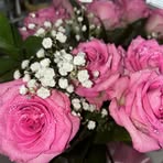 Sara Viers - Facebook