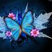 Sara Vine - Facebook