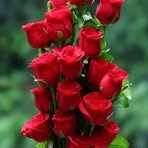 Sarafraz Virk - Facebook