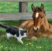 Sara Vogel - Facebook