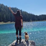 𝕊𝕒𝕣𝕒 𝕊ℝ𝕋 𝕍𝕠𝕝𝕜 🐾 - @sara_srt_volk - Instagram