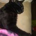 Sara Wallenstein - Facebook