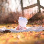 Sara Walrath - @sara_kate.wphotography - Instagram