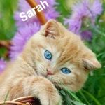 Sarah wegmann - @wegmann_sarah - Instagram