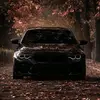 Sara Wendt - @sara.wendt53 - TikTok