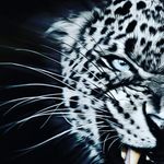 Sara Wendt - @wendt5152 - Instagram