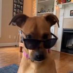 Sara Wesley - @sarawes540 - Instagram