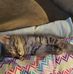 Sarah Weyer - Facebook