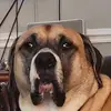 sarawhitcomb7 - @sarawhitcomb7 - TikTok
