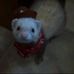 Sara Whiting - Facebook