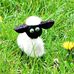 Sarah Whiting - Facebook