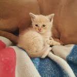 sara - @whitlatchsara - Instagram