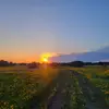 Sara Wiggins - @sarawiggins0711 - TikTok