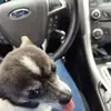 Sara Wiggins - @sara.wiggins3 - TikTok