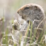 Sara May Wilbur - @authentic.science - Instagram