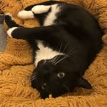 Sara Wilbur-Mesic - @wilburmesic - Instagram