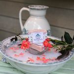 Sara Wiles - @twin_oaks_farmllc - Instagram