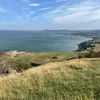 sara - @sarawillliams - TikTok