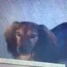 Sara Willert781 - @sarawillert781 - TikTok