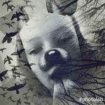 sara - @sara_wolters - Instagram