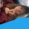 lil-peep - @sarahwomack350 - TikTok