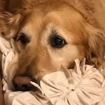 Sara Stults Womack - @_sarawomack_ - Instagram
