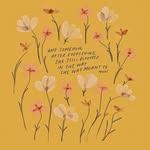 @sara.woolery - Instagram