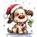 Sara Woolley - Facebook