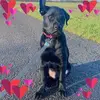 sarahwoolley710 - @sarahwoolley710 - TikTok