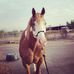 Sara Wooten - Facebook